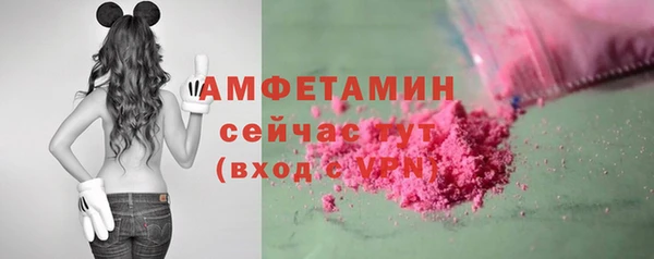 амф Семилуки