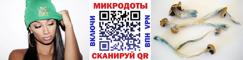 Галлюциногенные грибы Psilocybine cubensis  Балашов 
