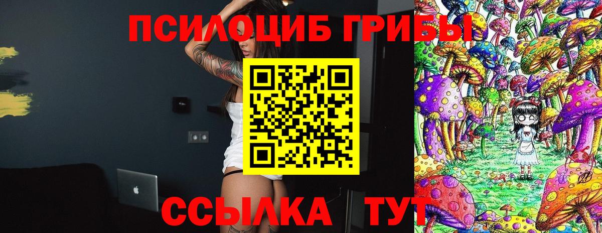 Балашов  закладки  Вход с VPN  Галлюциногенные грибы MAGIC MUSHROOMS 